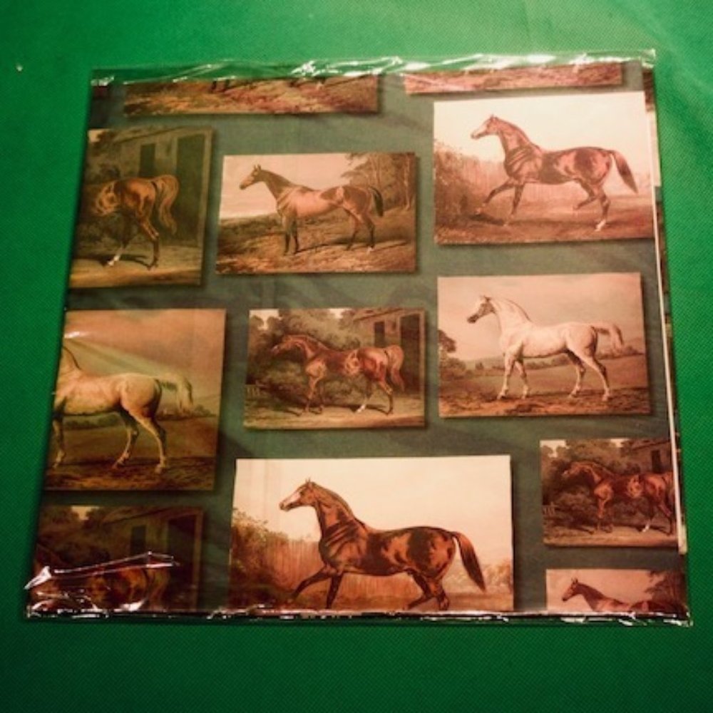 m. Horse Pattern Gift Wrap